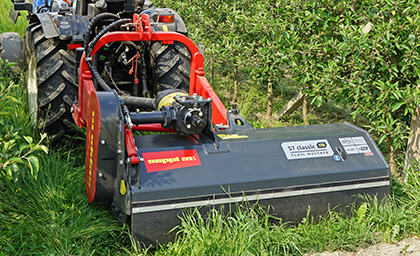 Largo alle novità, vi presentiamo MySeppi!