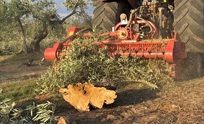 MINIFORST pick up 2019 05 07 at 15.52.21