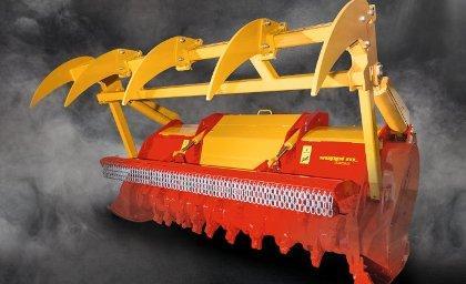 STARFORST - The new star on stage!