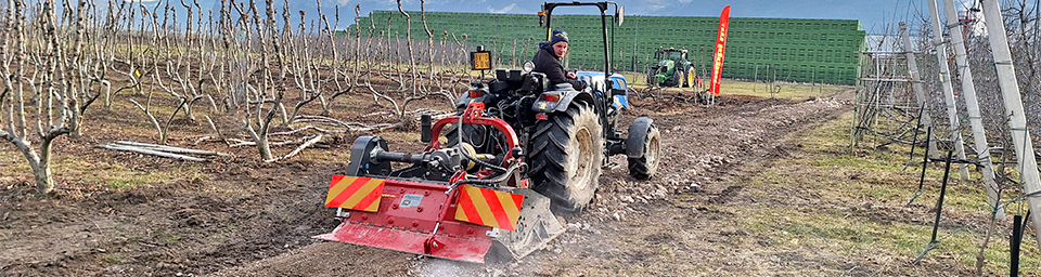 LP1 foto corpo MIDIPIERRE1