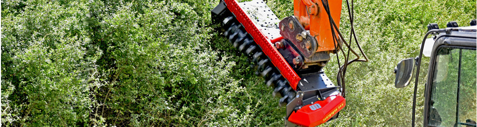 LP1 Foto corpo1 960x256