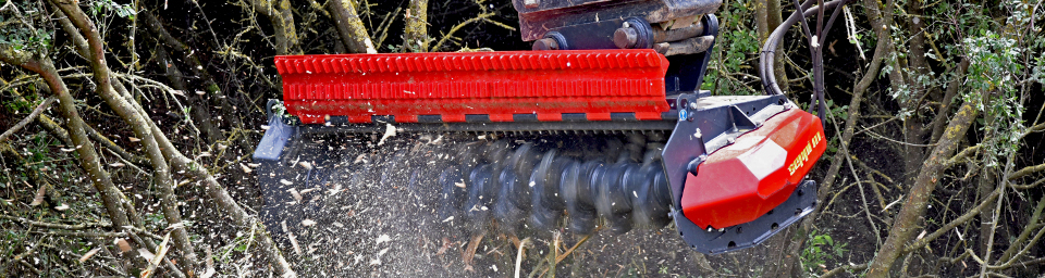 LP1 Foto corpo4 960x256