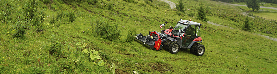 LP1 centrale2 960x256