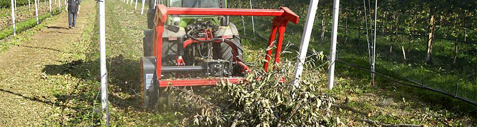 MINIFORST 23 1858 960x256