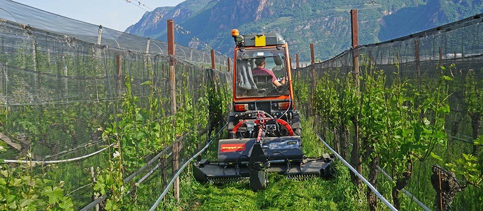 Trincia erba e ramaglia fino a 1 cm Ø