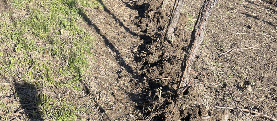 The mulcher classic with wide side displacement