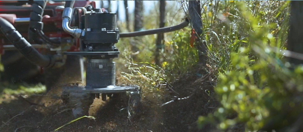 Zwischenstammkrümler