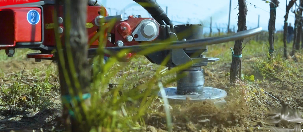 Zwischenstammkrümler