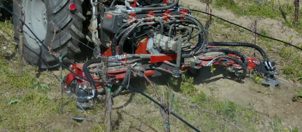 Zwischenstammkrümler