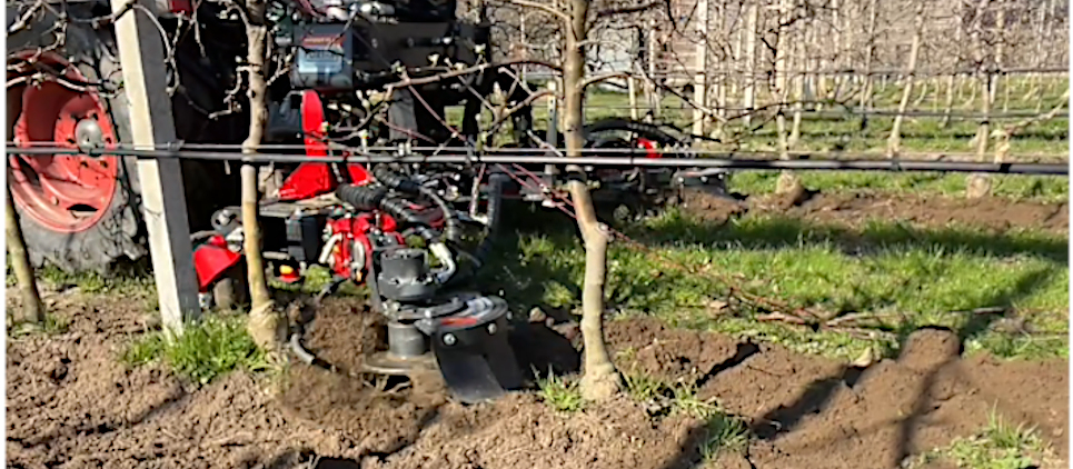 Zwischenstammkrümler