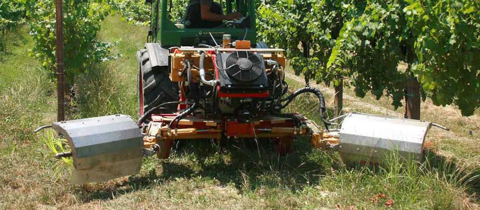 Unterstockbürste zum Entfernen der Triebe