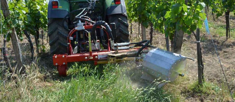 Escobilla para retoños