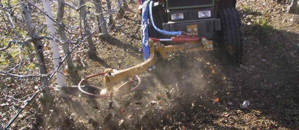 XAN andanatore Rimuove rami e foglie