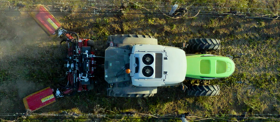 The brushes clean the trunk and remove shoots