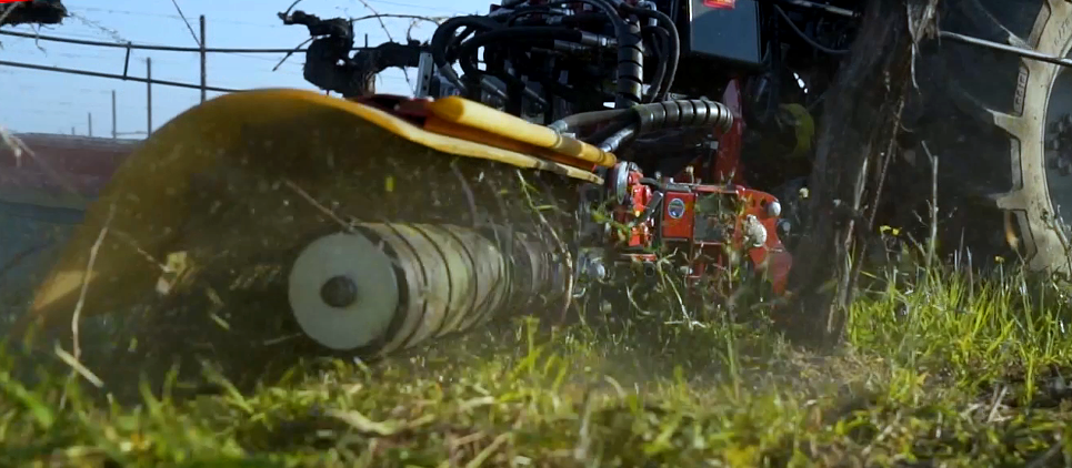 The brushes clean the trunk and remove shoots