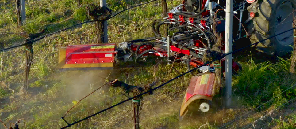 The brushes clean the trunk and remove shoots