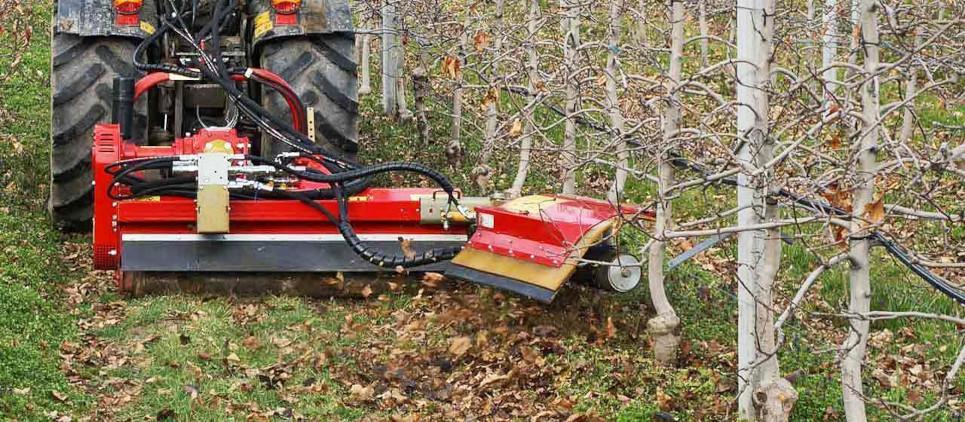 Pulisce gli interfilari