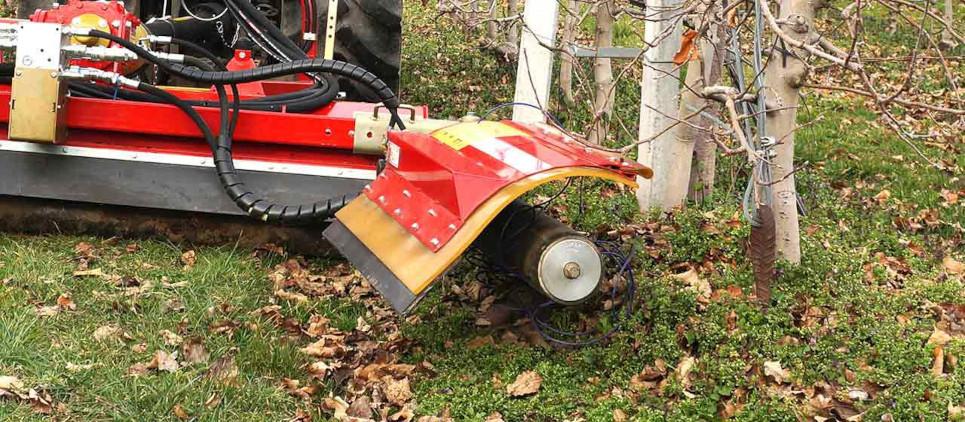 Dieses Stammputzgerät säubert den Stamm