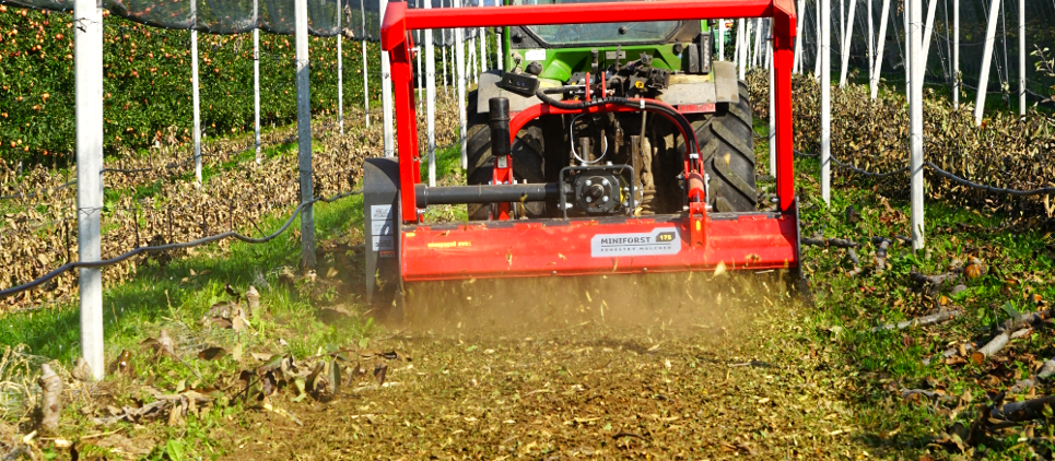 Trinciatrice forestale per pulizia del bosco e manutenzione del verde in generale