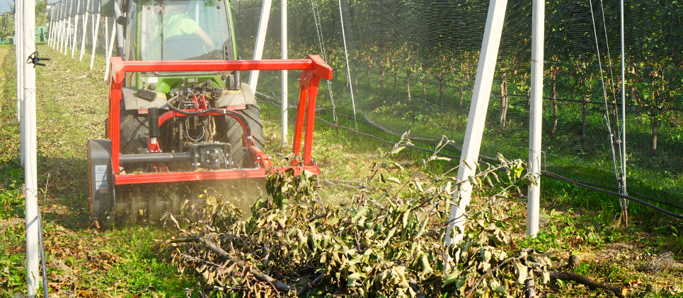 The strong little forestry mower for right of way and vegetation management