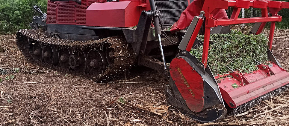 Trincia legna fino a 30 cm Ø