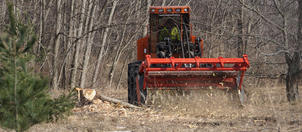 Trincia legna fino a 40 cm Ø