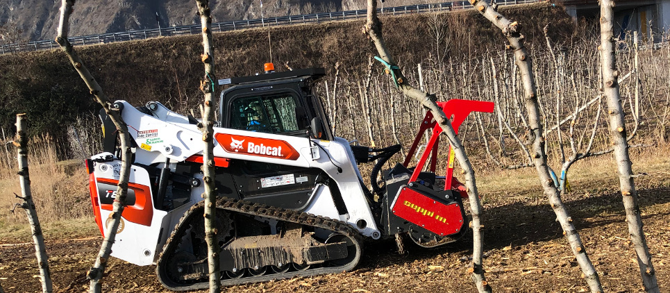 broyeur forestier pour skid steer